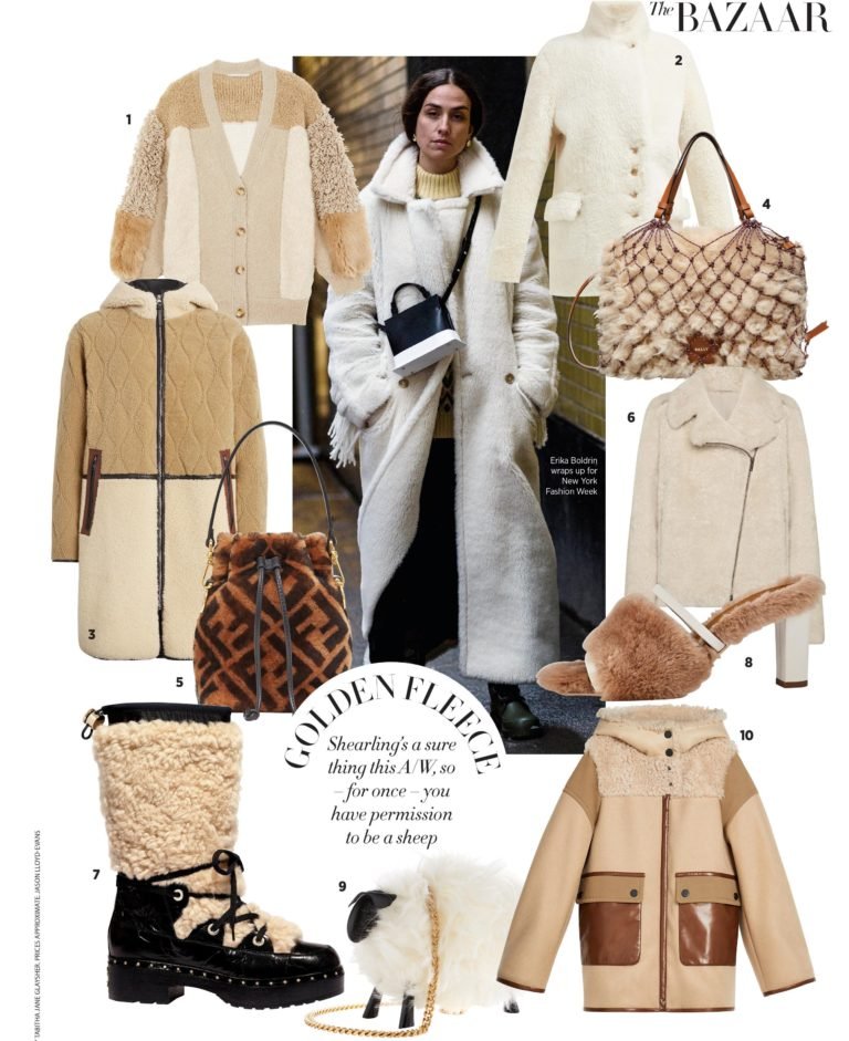 Read more about the article SHEARLING